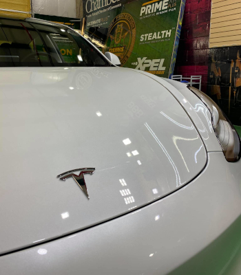 Paint Protection in Raleigh, North Carolina