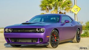 How Auto Paint Protection Film Works